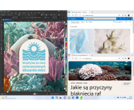 Microsoft System Operacyjny Windows 11 Home ESD - 1377148 - zdjęcie 4